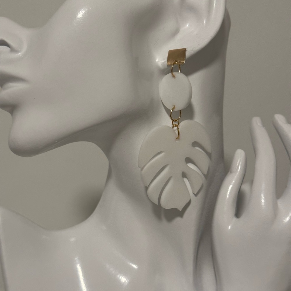 Acrylic Fashion earrings